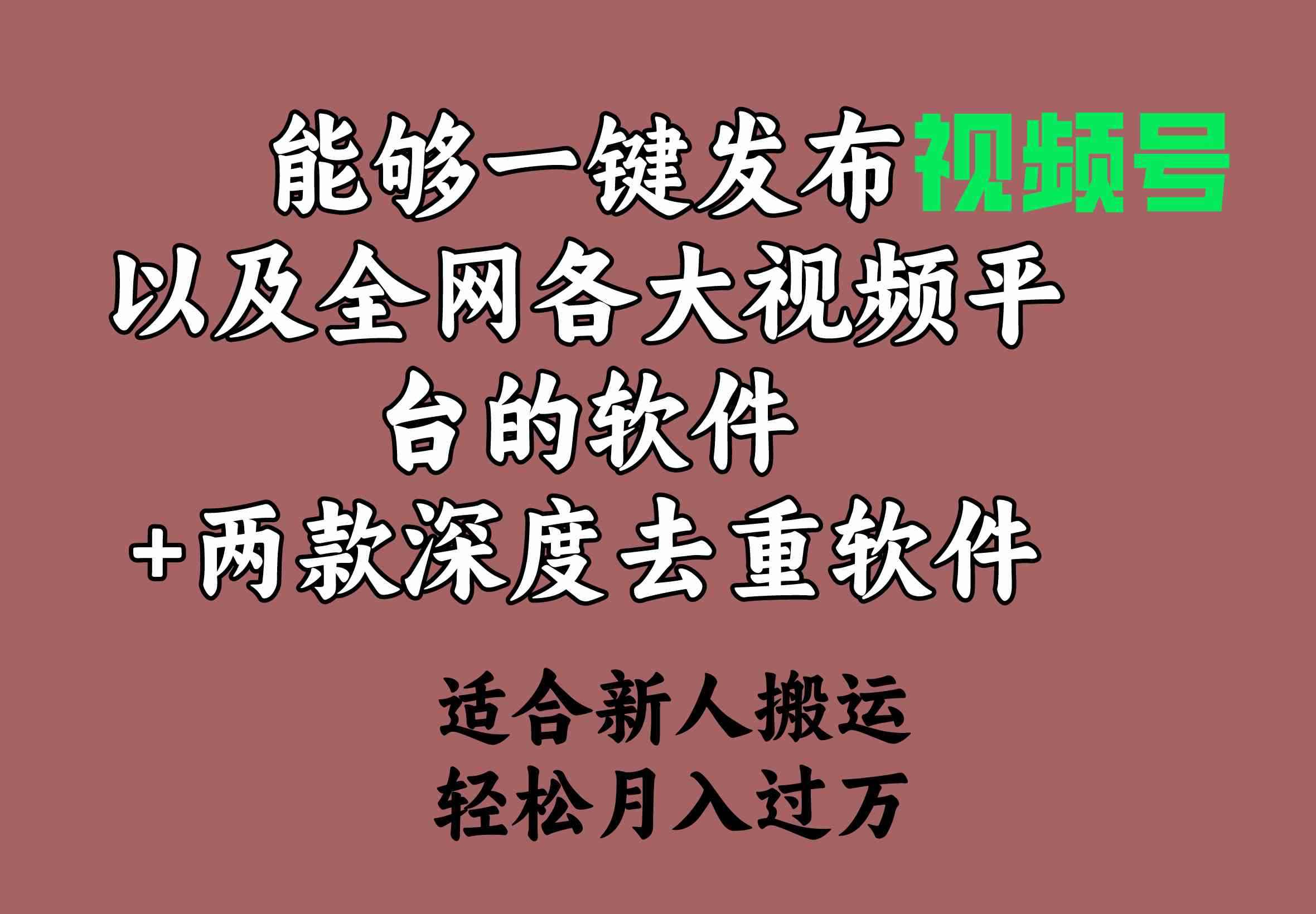 图片[1]-（9319期）能够一键发布视频号以及全网各大视频平台的软件+两款深度去重软件 适合…