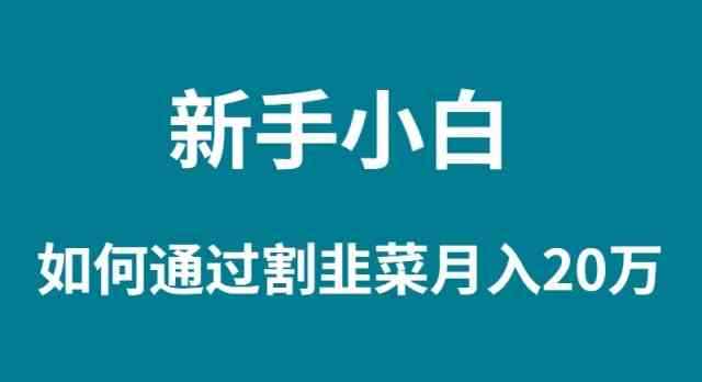 图片[1]-（9308期）新手小白如何通过割韭菜月入 20W