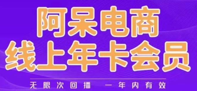 阿呆电商线上年会员,阿呆电商干货分享(更新中)-阿光创业网