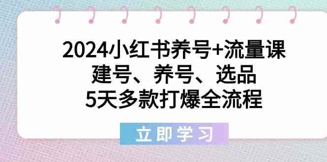 图片[1]-（8974期）2024小红书养号+流量课：建号、养号、选品，5天多款打爆全流程