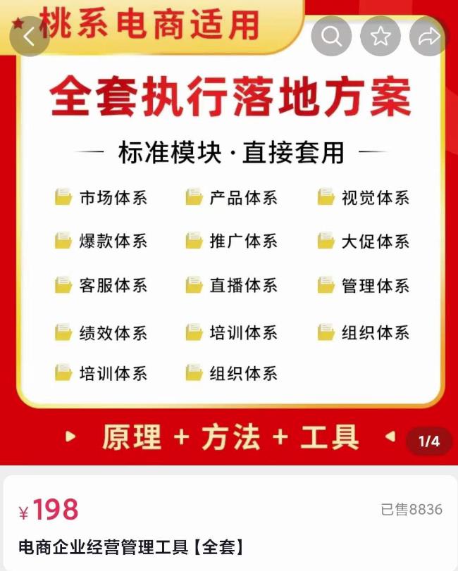 外面卖198·电商企业经营管理工具：全套执行落地方案标准模块·直接套用