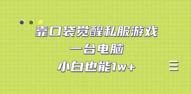 图片[1]-（7113期）靠口袋觉醒私服游戏，一台电脑，小白也能1w+（教程+工具+资料）