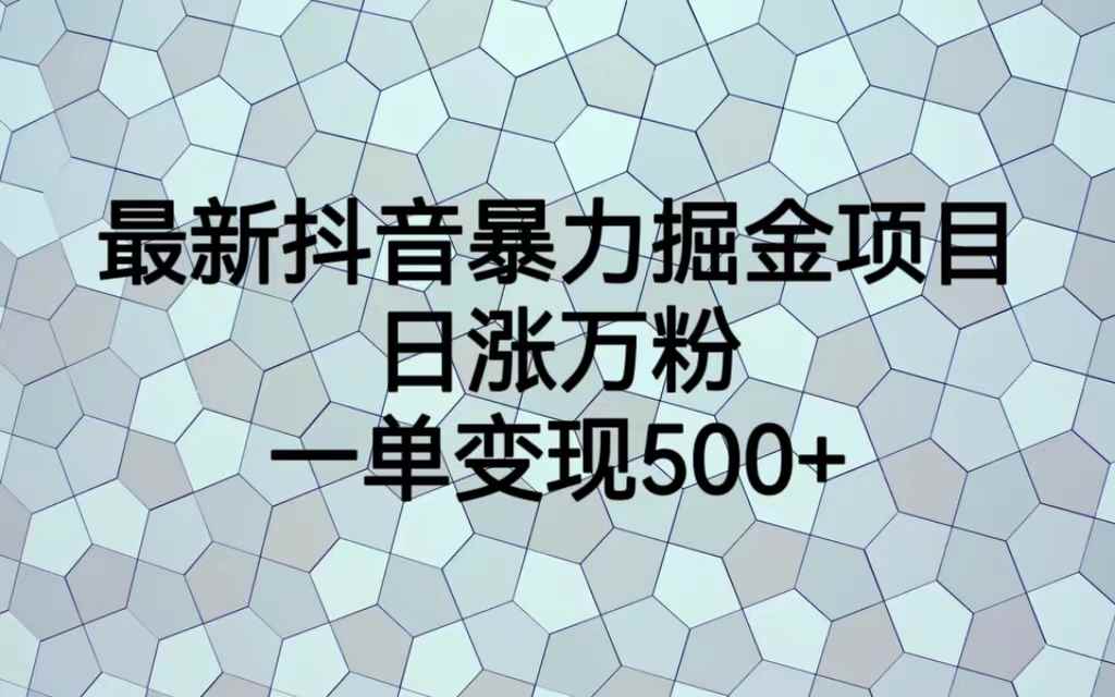 （6660期）最新抖音暴力掘金项目，日涨万粉，一单变现500+