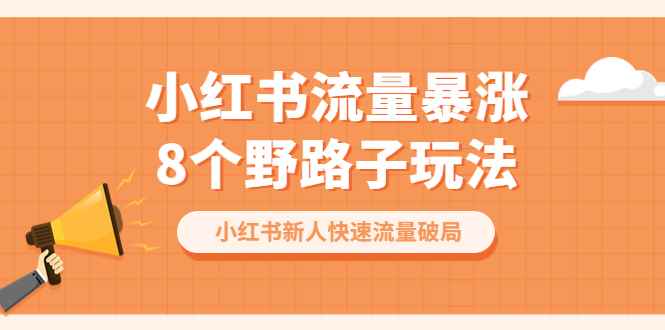 （6476期）小红书流量-暴涨8个野路子玩法：小红书新人快速流量破局（8节课）