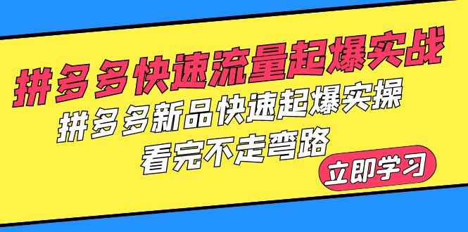 （6253期）拼多多-快速流量起爆实战，拼多多新品快速起爆实操，看完不走弯路