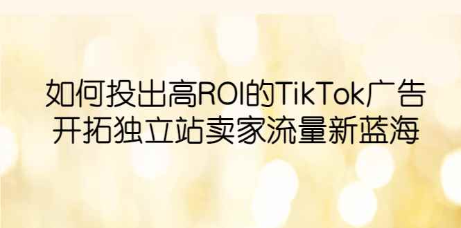 （6102期）如何投出高ROI·TikTok广告，开拓独立站卖家流量新蓝海