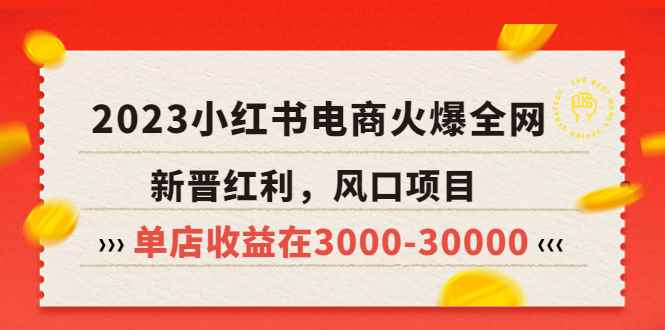 （5840期）2023小红书电商火爆全网，新晋红利，风口项目，单店收益在3000-30000！