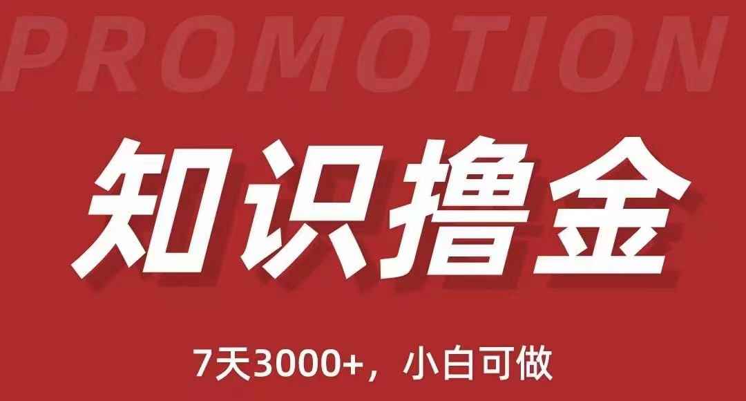 （5629期）抖音知识撸金项目：简单粗暴日入1000+执行力强当天见收益(教程+资料)