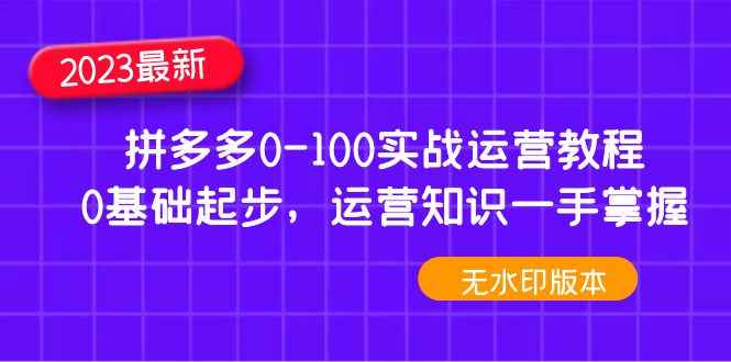 图片[1]-（4835期）2023拼多多0-100实战运营教程，0基础起步，运营知识一手掌握（无水印）