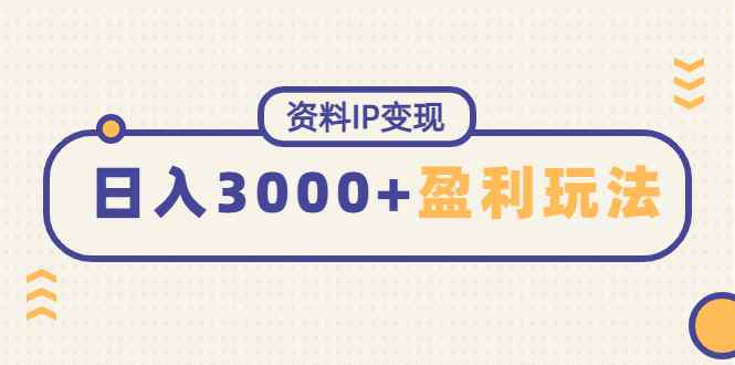 图片[1]-（4576期）资料IP变现，能稳定日赚3000起的持续性盈利玩法