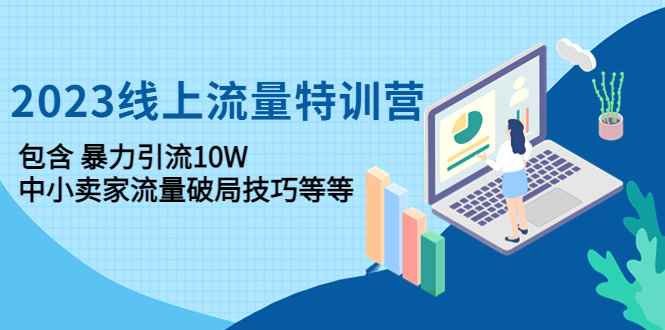 （4567期）2023线上流量特训营：包含暴力引流10W+中小卖家流量破局技巧等等