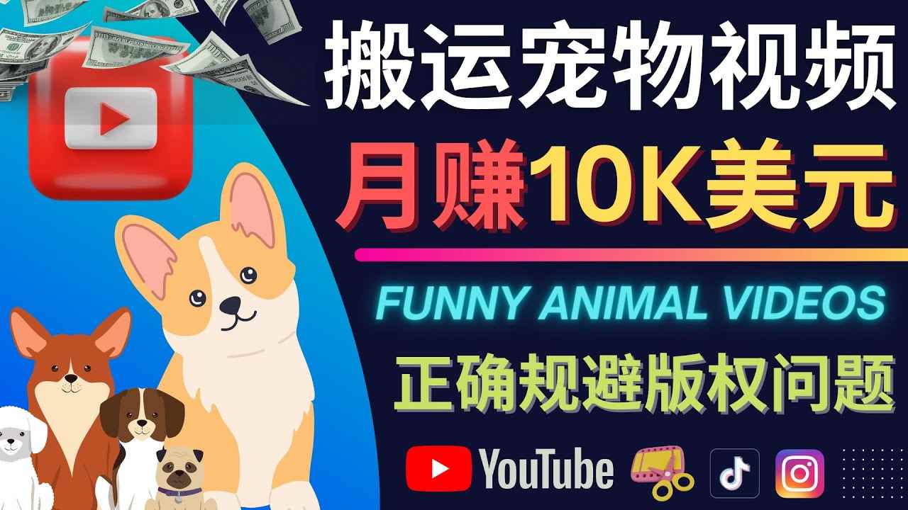 图片[1]-（4221期）搬运TIKTOK视频到YouTube，并进行二次创作，月赚1万美元以上