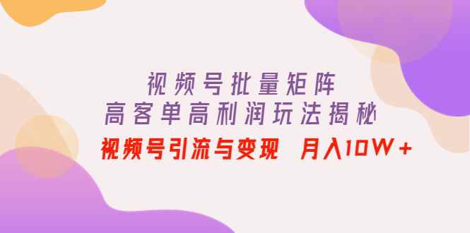 图片[1]-（4193期）视频号批量矩阵的高客单高利润玩法揭秘： 视频号引流与变现 月入10W+