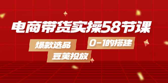 图片[1]-（4024期）电商带货实操58节课，爆款选品，豆荚投放，0-1的搭建