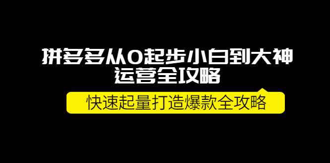 图片[1]-（3884期）拼多多从0起步小白到大神运营全攻略，快速起量打造10W+爆款全攻略！