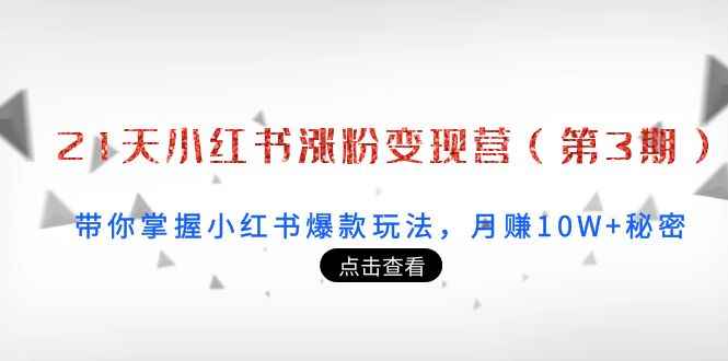 （3795期）21天小红书涨粉变现营（第3期）：带你掌握小红书爆款玩法，月赚10W+秘密