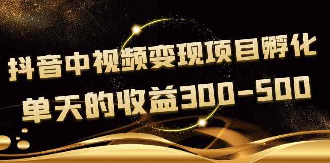 （3794期）黄岛主《抖音中视频变现项目孵化》单天的收益300-500 操作简单粗暴