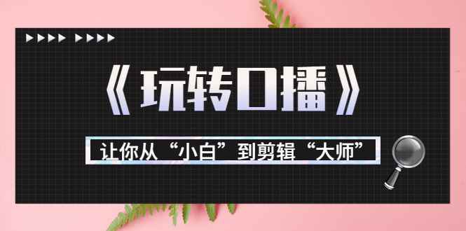 （3571期）月营业额700万+大佬教您《玩转口播》让你从“小白”到剪辑“大师”