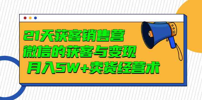 （2997期）21天获客销售营，带你微信的获客与变现  月入5W+卖货经营术