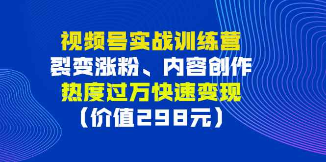 （2795期）视频号实战训练营，裂变涨粉、内容创作、热度过万快速变现（价值298元）