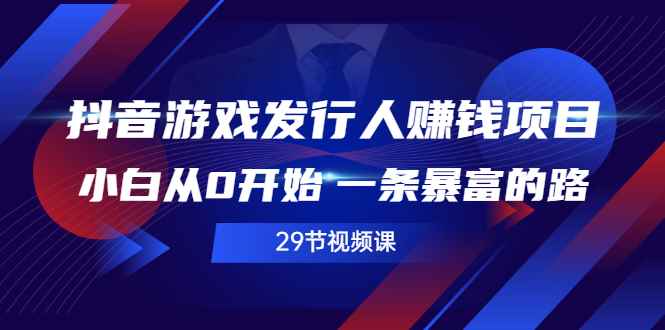 （2516期）抖音游戏发行人赚钱项目，小白从0开始 一条暴富的路（29节视频课）