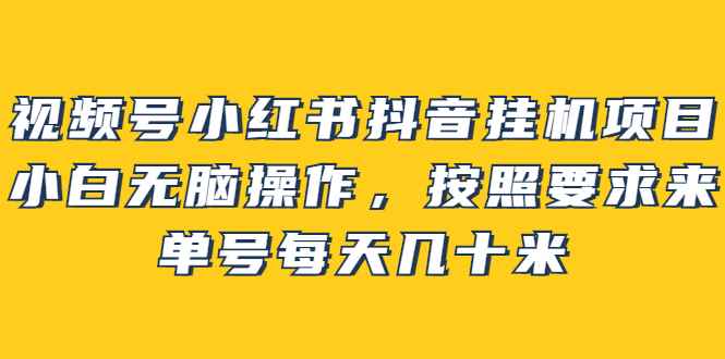 （2437期）视频号小红书抖音挂机项目，小白无脑操作，按照要求来，单号每天几十米