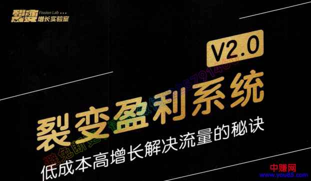 图片[1]-（955期）低成本高增长解决流量的秘诀《裂变盈利系统V2.0》视频+文档