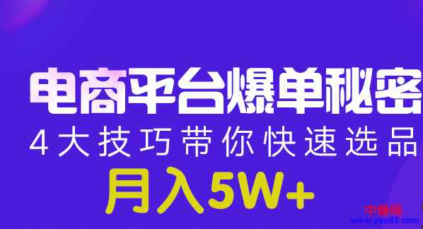 图片[1]-（950期）电商平台爆单 月入5W+的秘密：4大技巧带你快速选品(8节视频课)