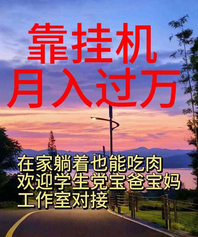 （10838期）靠挂机，日入1000+，躺着也能吃肉，适合宝爸宝妈学生党工作室，电脑手…-阿光创业网