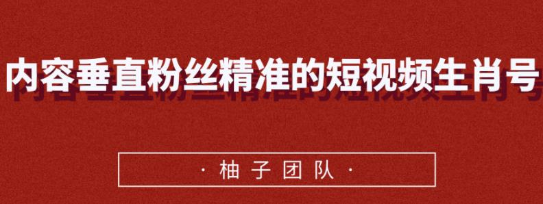 内容垂直粉丝精准的短视频生肖号，小众领域简单操作月入10000+【视频课程】