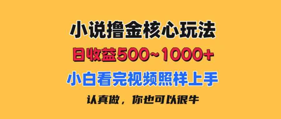 图片[1]-（11461期）小说撸金核心玩法，日收益500-1000+，小白看完照样上手，0成本有手就行