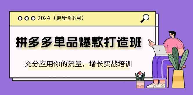 图片[1]-（11556期）2024拼多多-单品爆款打造班(更新6月)，充分应用你的流量，增长实战培训