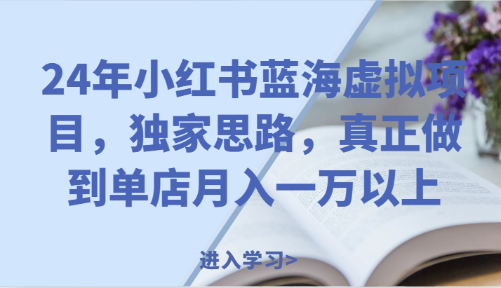 24年小红书蓝海虚拟项目，独家思路，真正做到单店月入一万以上。