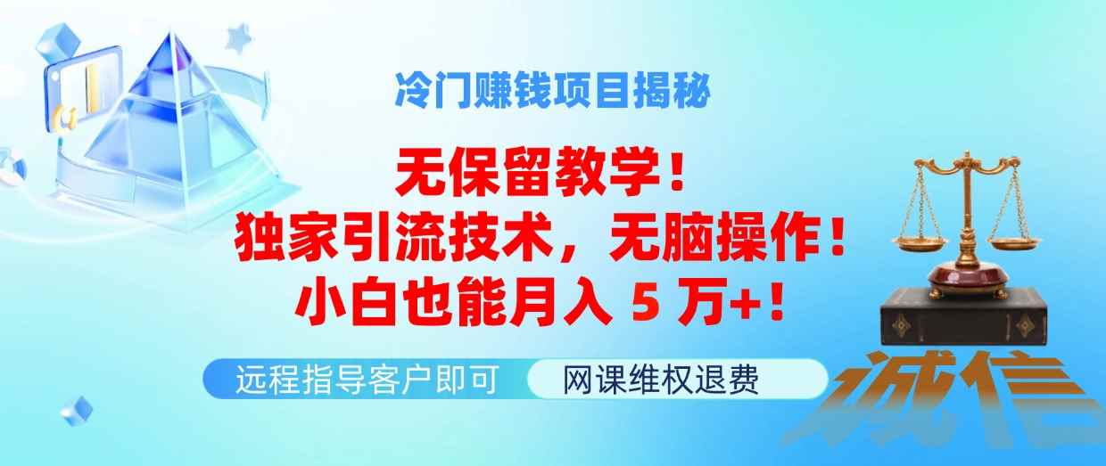 图片[1]-（11864期）冷门赚钱项目无保留教学！独家引流技术，无脑操作！小白也能月入5万+！