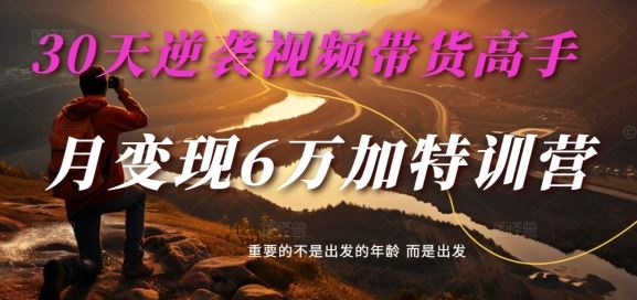 30天逆袭视频带货高手，单月变现6万加特训营-麦子甜-万项网