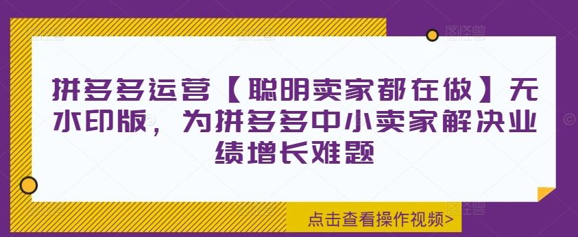 拼多多运营【聪明卖家都在做】无水印版，为拼多多中小卖家解决业绩增长难题-万项网