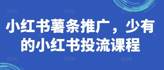 小红书薯条推广，少有的小红书投流课程-万项网