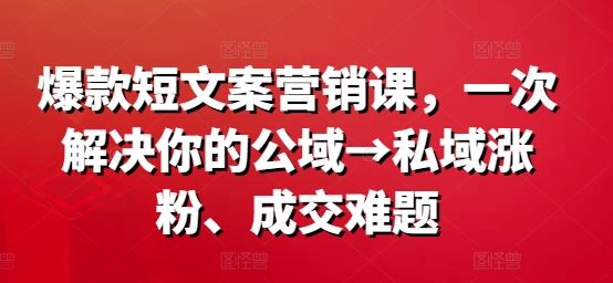 爆款短文案营销课，一次解决你的公域→私域涨粉、成交难题-万项网