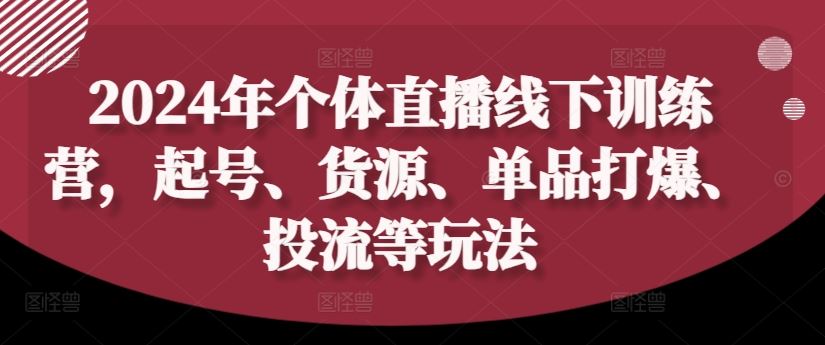 2024年个体直播训练营，起号、货源、单品打爆、投流等玩法-万项网