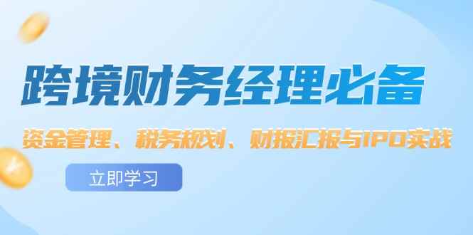 （12323期）跨境 财务经理必备：资金管理、税务规划、财报汇报与IPO实战-万项网