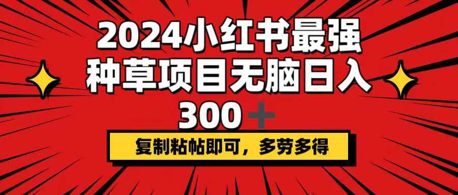 （12336期）2024小红书最强种草项目，无脑日入300+，复制粘帖即可，多劳多得-万项网