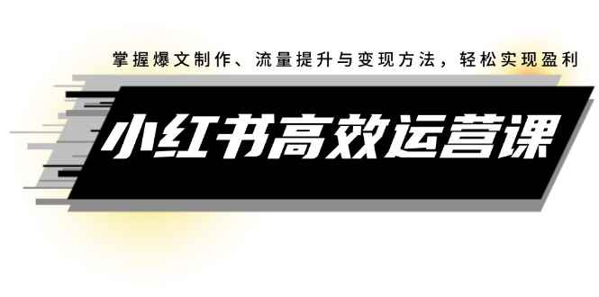 （12369期）小红书高效运营课：掌握爆文制作、流量提升与变现方法，轻松实现盈利-万项网