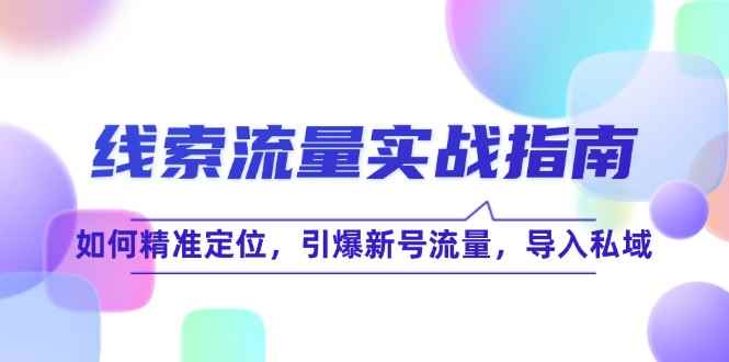 （12382期）线 索 流 量-实战指南：如何精准定位，引爆新号流量，导入私域-万项网