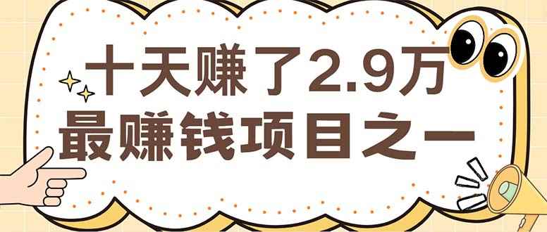 （12491期）闲鱼小红书赚钱项目之一，轻松月入6万+项目-万项网