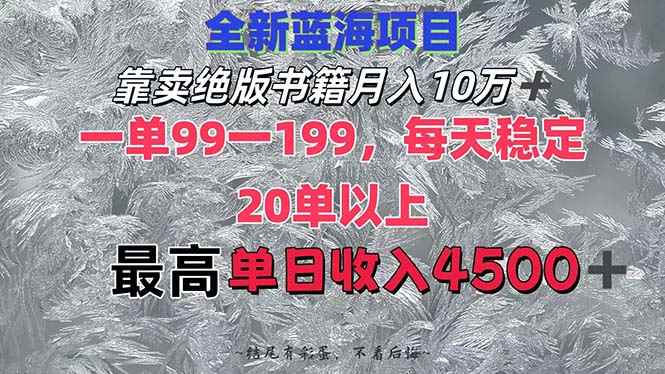 （12512期）靠卖绝版书籍月入10W+,一单99-199，一天平均20单以上，最高收益日入4500+-万项网