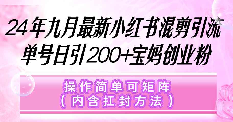 （12530期）小红书混剪引流，单号日引200+宝妈创业粉，操作简单可矩阵（内含扛封…-万项网