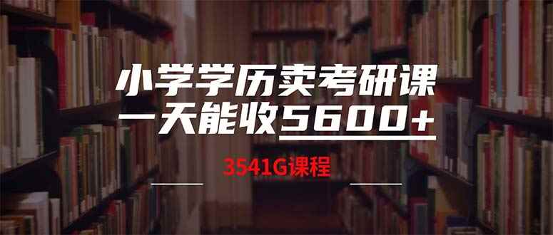 （12556期）小学学历卖考研课程，一天收5600（附3580G考研合集）-万项网