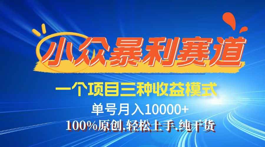 （12579期）【老人言】-视频号爆火赛道，三种变现方式，0粉新号调调爆款-万项网