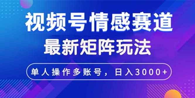 （12609期）视频号创作者分成情感赛道最新矩阵玩法日入3000+-万项网