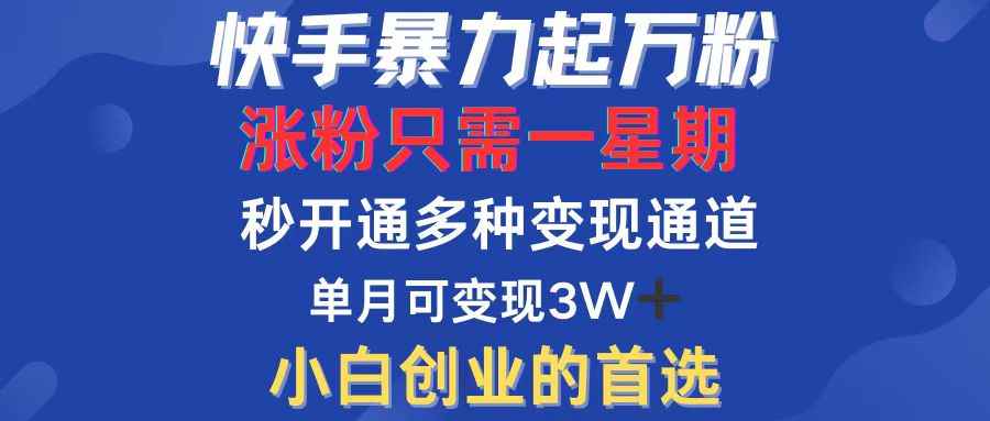 （12651期）快手暴力起万粉，涨粉只需一星期，多种变现模式，直接秒开万合，小白创…-万项网